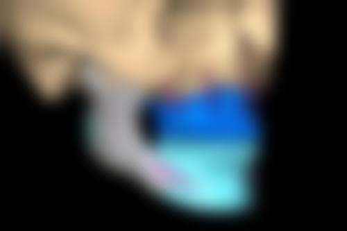 宋金哲医生预约挂号