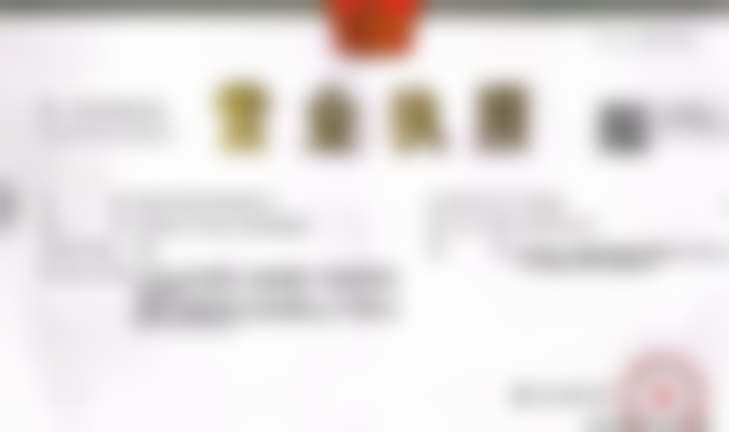 宗炜医生执医荣誉