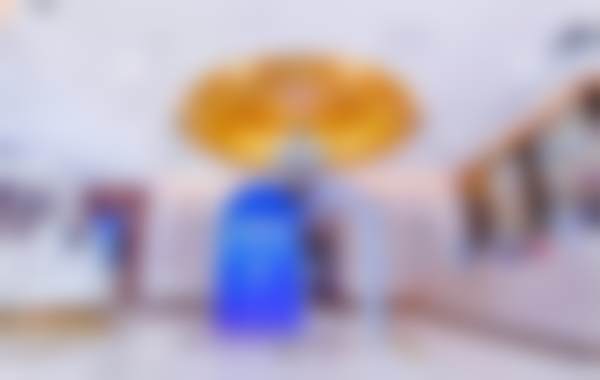 胡彬医生执医荣誉