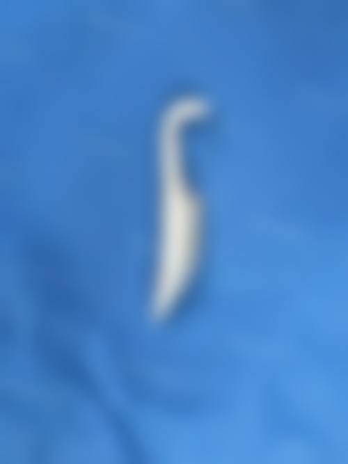 罗安丽医生项目收费价格