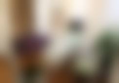 广东省人民医院刘娟娟医生项目收费价格