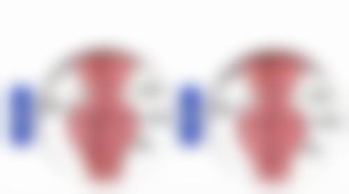 首都医 科 大学附属北京天坛医院吕明医生预约挂号