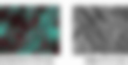 朱万春医生项目收费价格