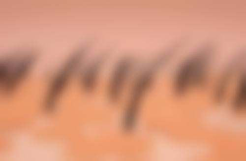 于德宝医生项目收费价格