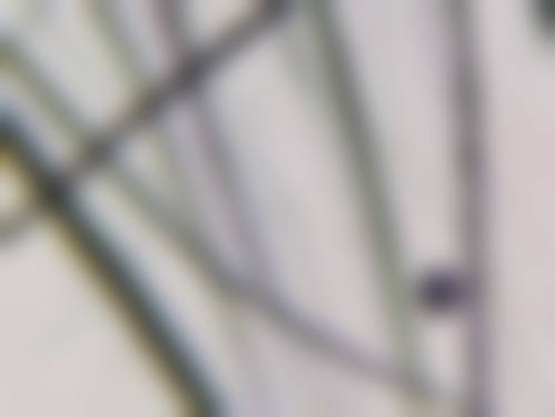 于德宝医生预约挂号