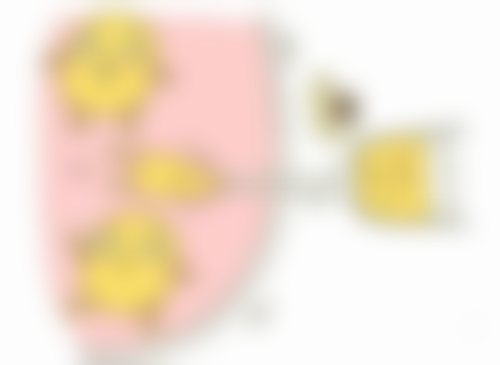 深圳仁爱医院植发中 心收费价格表