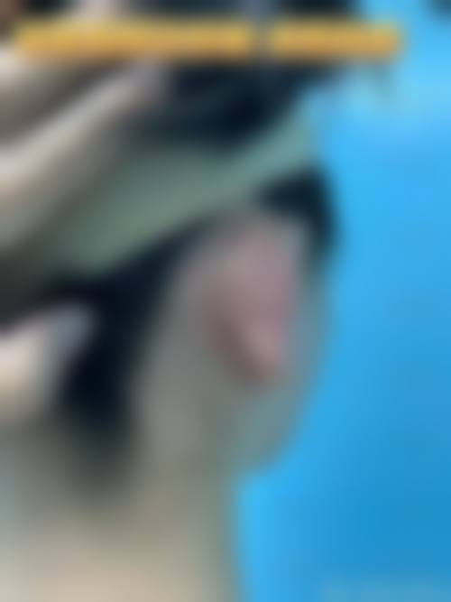 锦州医 科 大学附属第一医院医学美容科医疗环境与配套设施