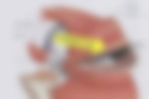 上海雅丰医疗美容医院预约挂号方式