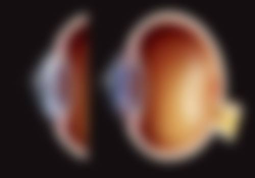 攀枝花市中 心医院李密医生项目收费价格