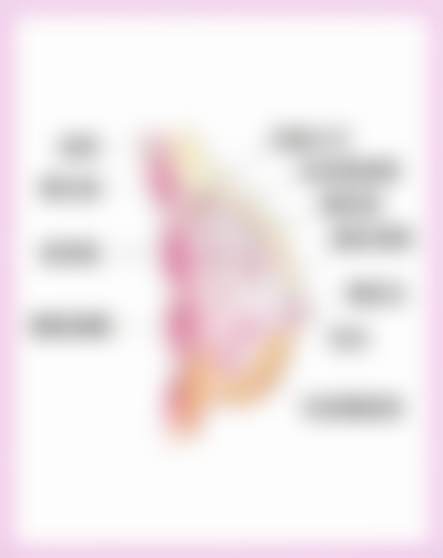 彭栋梁医生项目收费价格