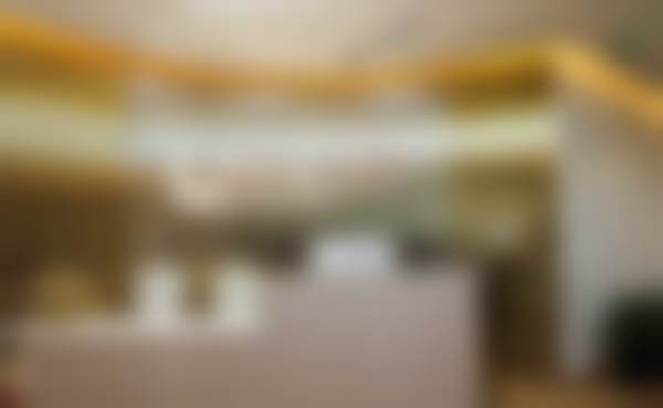 王衡健医生执医荣誉