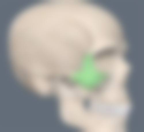 何林燕医生预约挂号