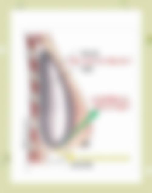 王苏医生预约挂号