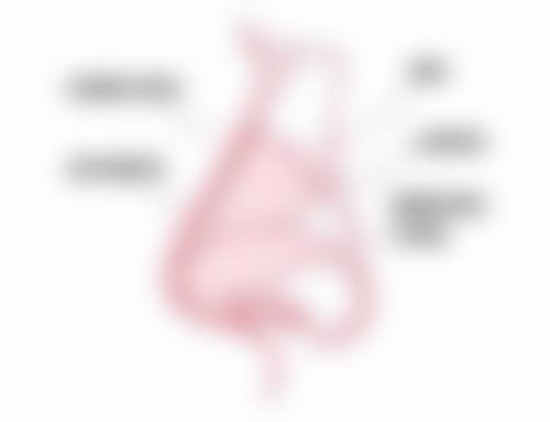 武汉市黄陂区中医医院整形外科地址电话、营业时间