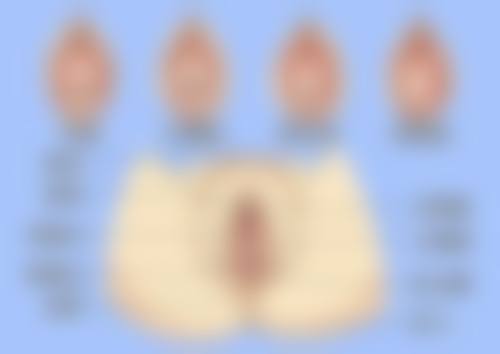 朱海军 医生项目收费价格