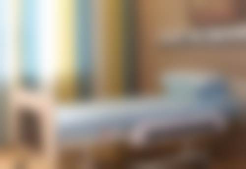 李智明医生执医荣誉