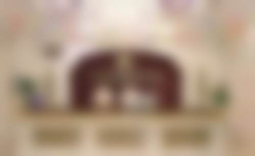 布莱恩·瓦特博士项目收费价格