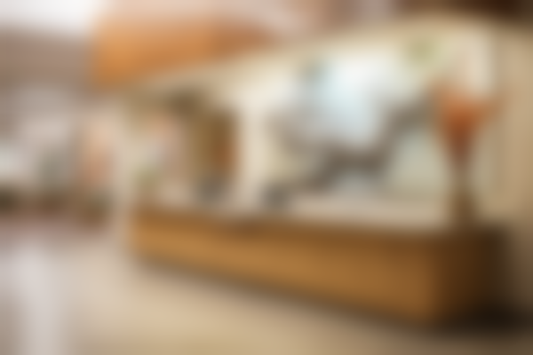 宁波颜蕾医美美肤抗衰(鄞州院区)特色诊疗项目与技术优势