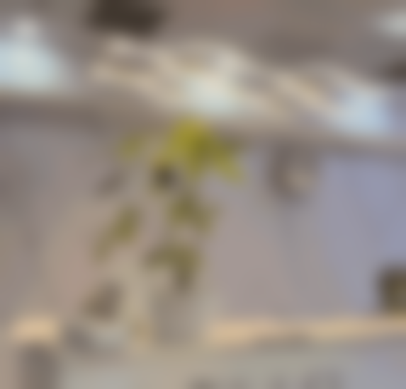 北京美诗沁世茂医疗美容诊所收费价格表