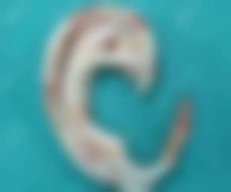 雪纖瘦医疗美容医生团队介绍