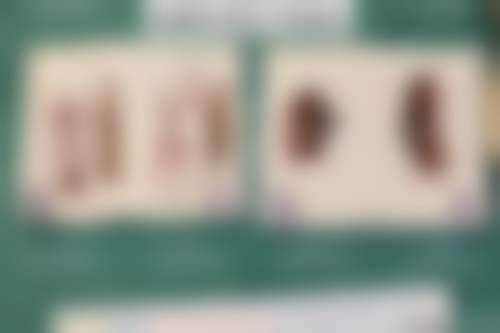 天津瑷珊雅医疗美容门诊医疗环境与配套设施