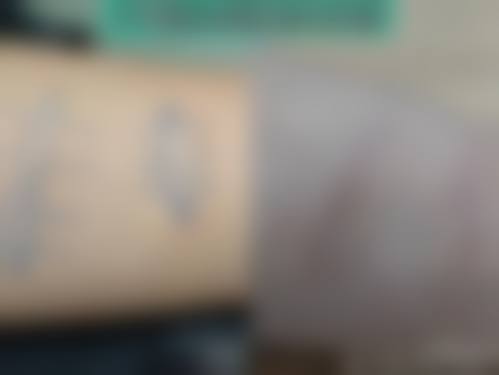 张鹤明医生项目收费价格