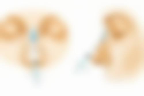 右江民族医学校附属医院（手足外科、小儿骨科、运动医学）医生团队介绍