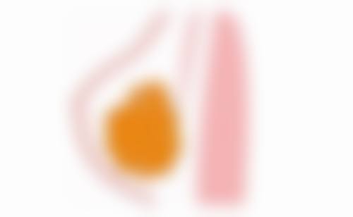 巴友良医生执医荣誉