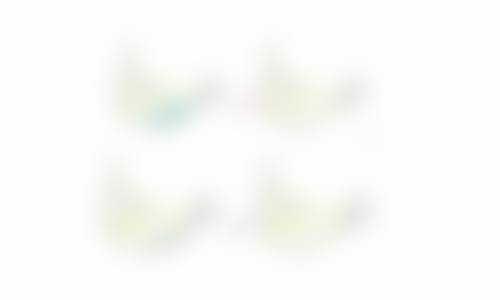 田子琦医生执医荣誉