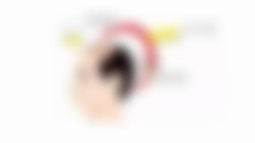 丽延长整形外科特色诊疗项目与技术优势