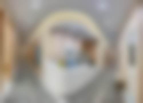 张院长技术优势