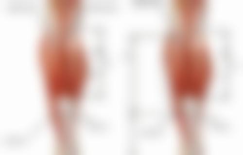 梁信豪医生预约挂号
