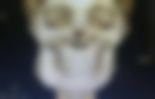 张汉东医生项目收费价格