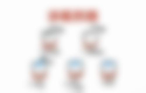 擅长项目详解