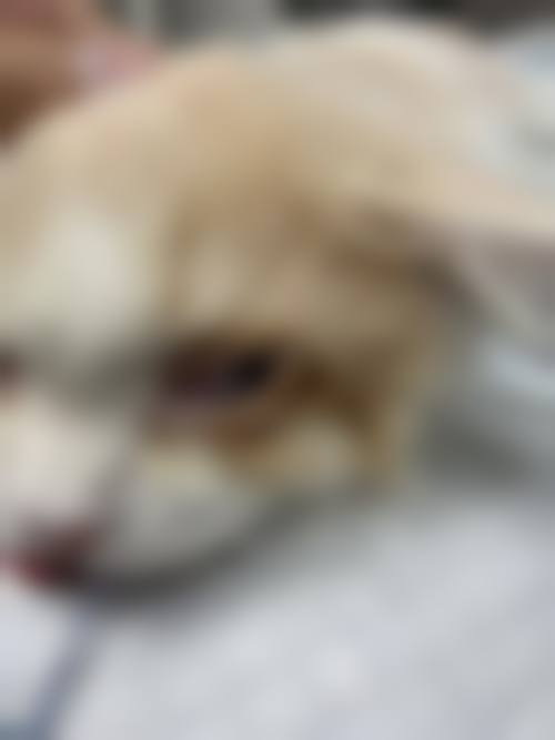 预约优惠活动