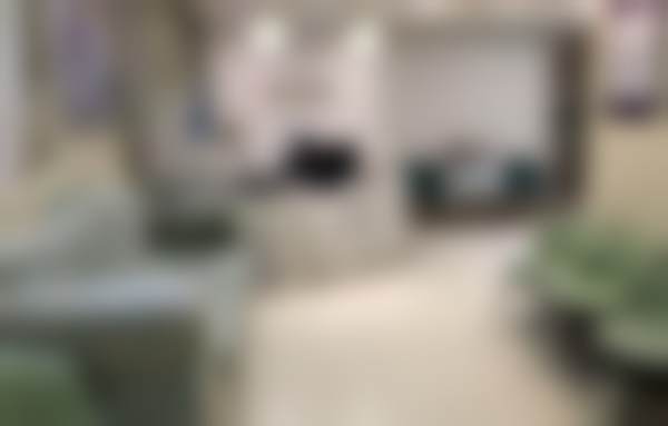 宋锦荣医生执医荣誉