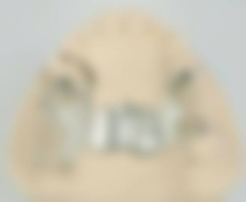 优惠活动详情与价格参考