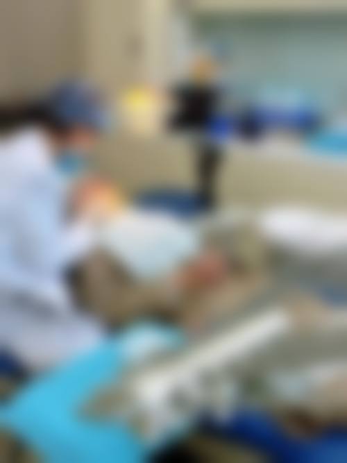 预约优惠活动