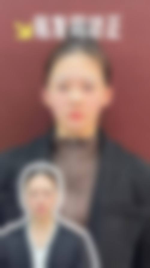 擅长项目详解