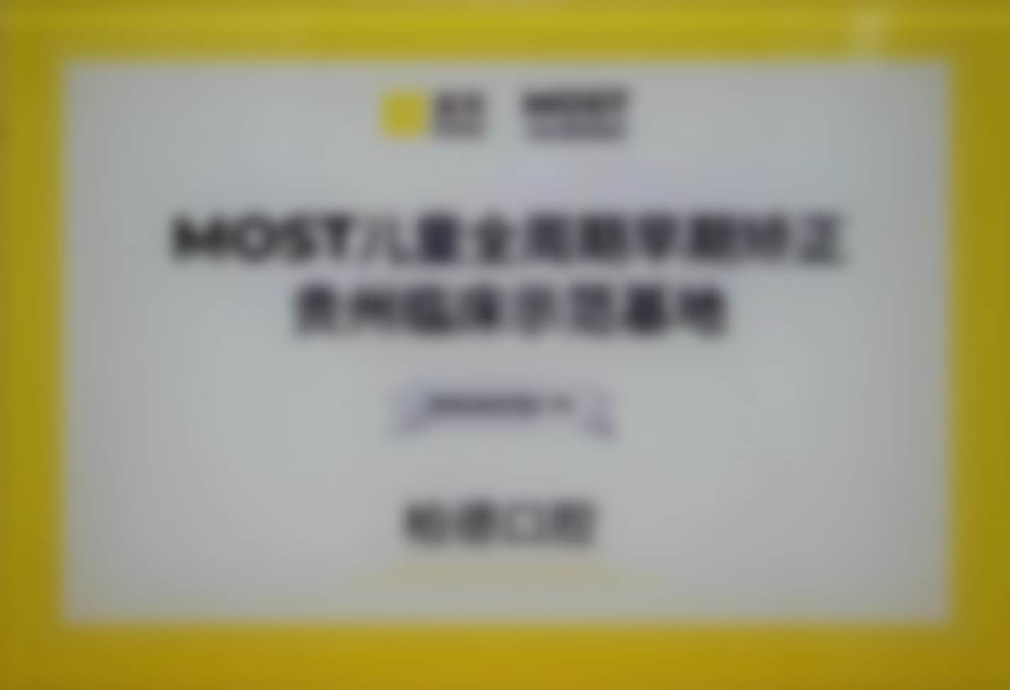 医生团队:丹妮拉领衔,专精保护