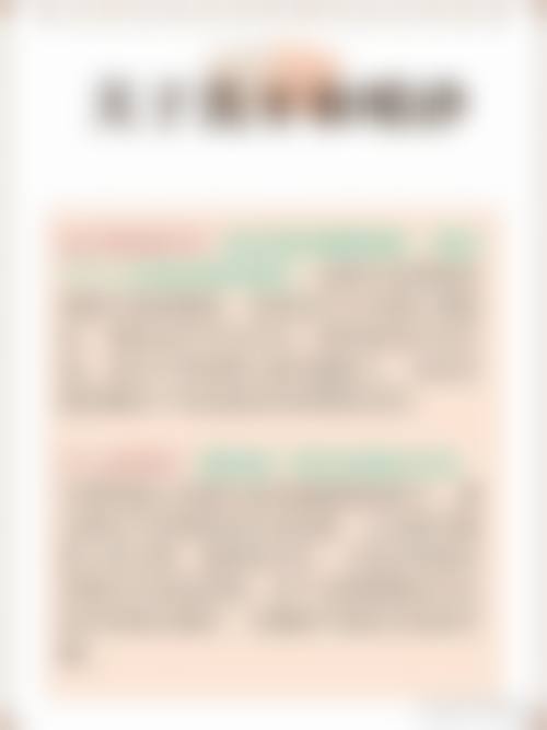 擅长项目详解
