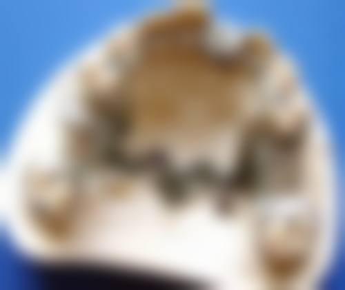 特色项目与服务:覆盖全科口腔,满足多样需求