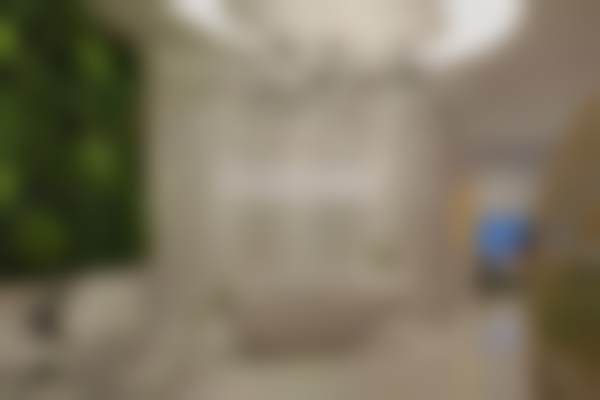 朱志明医生执医荣誉