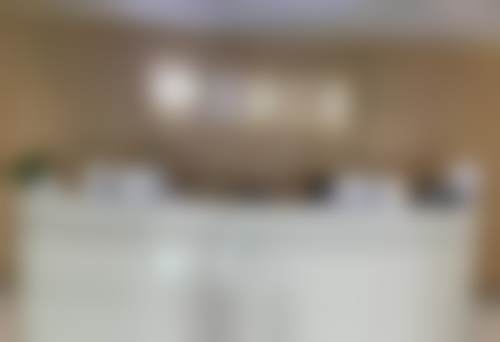 擅长项目详解