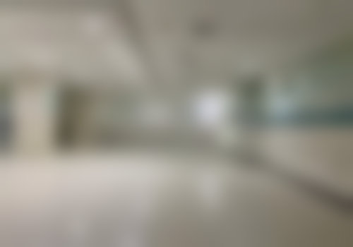 擅长项目详解