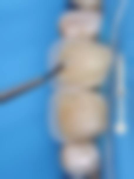 诊疗特色总结